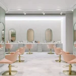 Franquia de Locação de Veículos: Vale a Pena Investir?